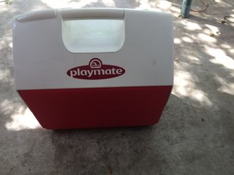 Igloo Playmate Cooler