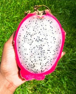 Dragon Fruit Plants ( 2-3' ft. Tall ) 🐉🍓