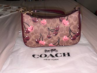 COACH BAG TERI BAG