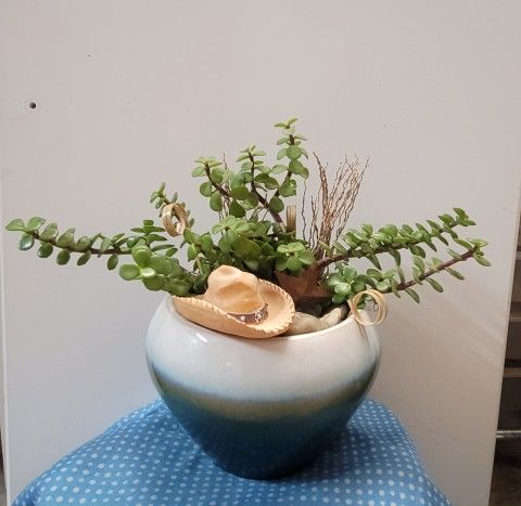 Cowboy Elefant Succulent Planter