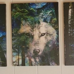 3 Piece Wolf Picture 