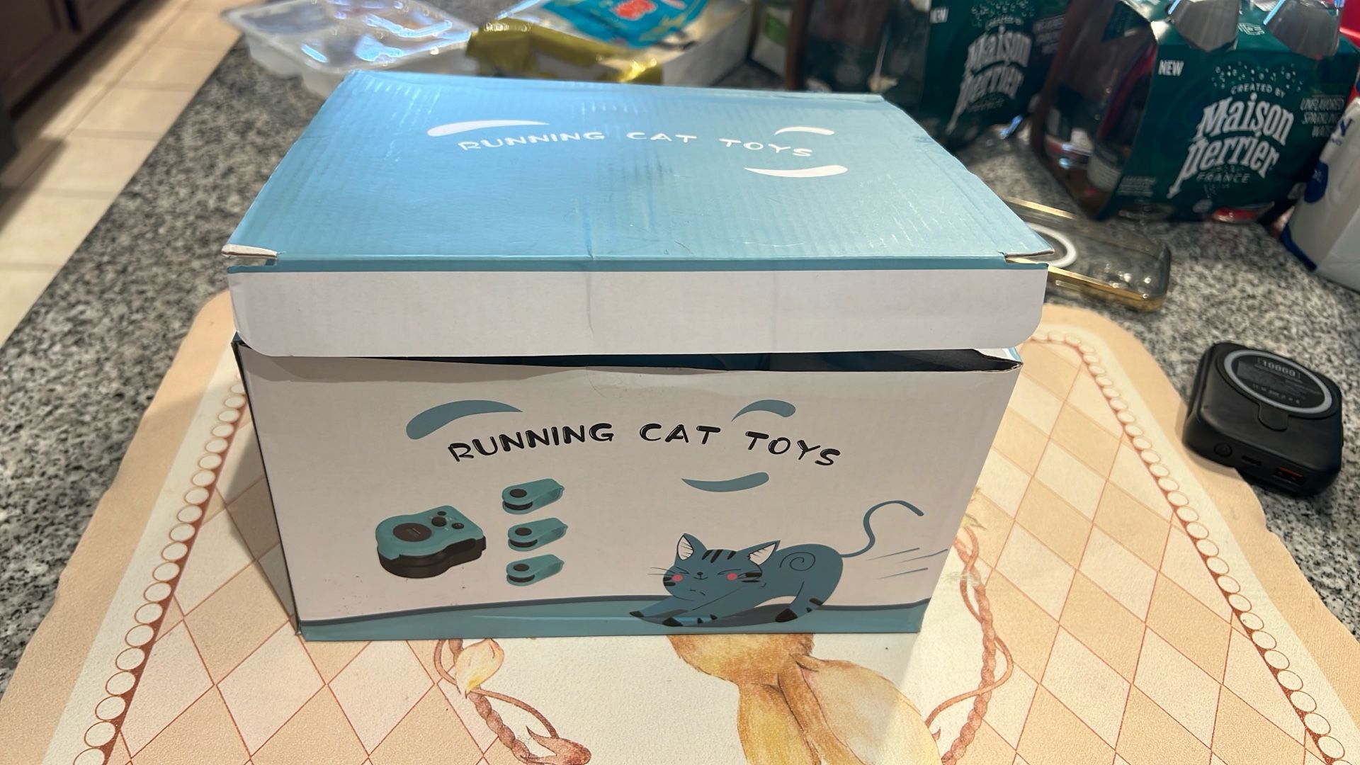 cat toy