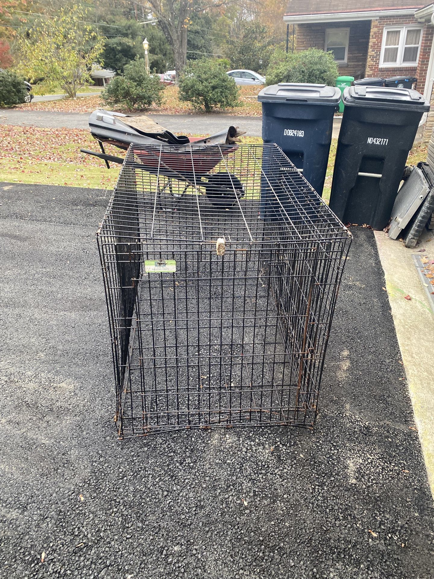 FREE Large Dog Crate
