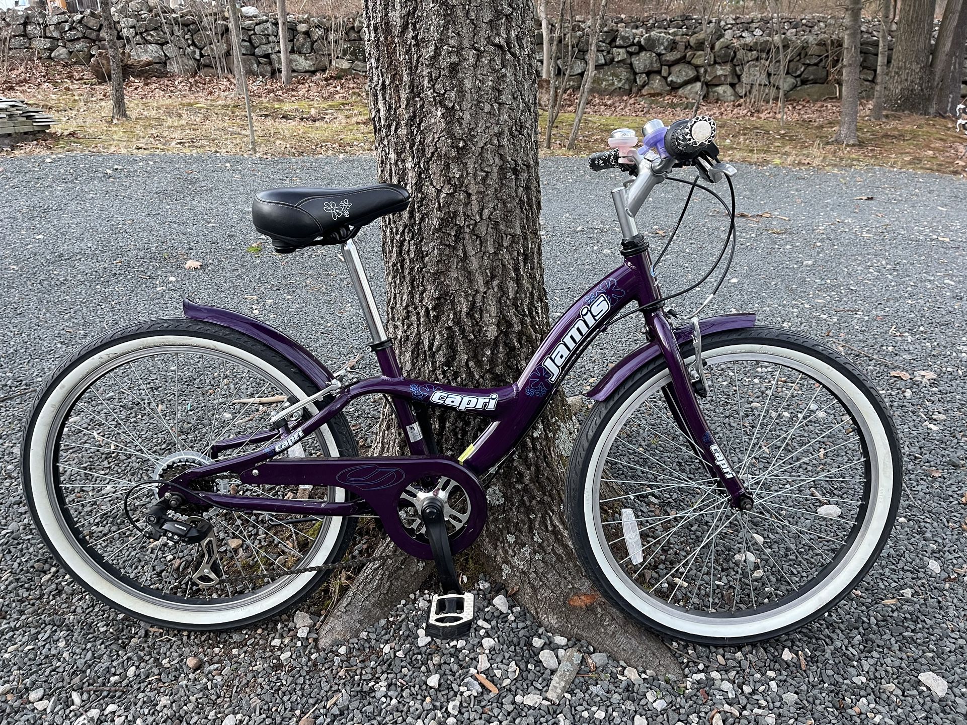 Jamis 24” purple girls bike 