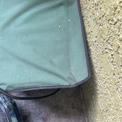 Cat Supplies