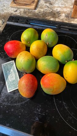 Haden Mangoes