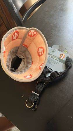 medium Dog Cone And Harness