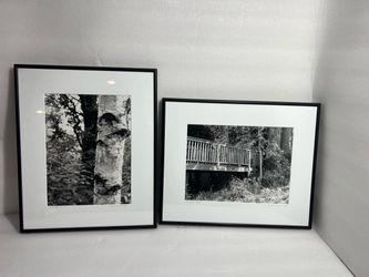 Donna Bennett 2003 Black and White Framed Photographs - Set of 2