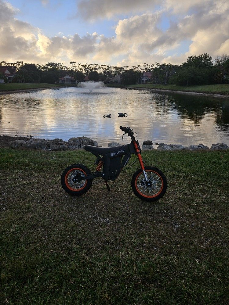 Brand New Tuttio 48v 39mph Read Description