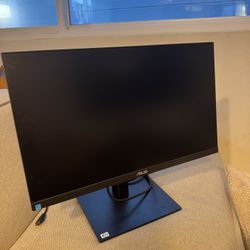 Computer Monitor 