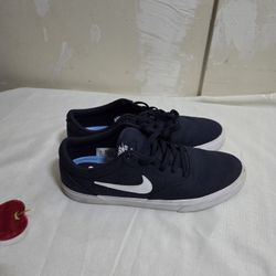 Nike SB Charge