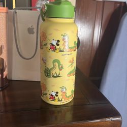Disney Water Bottle 