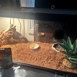 Reptile Terrarium