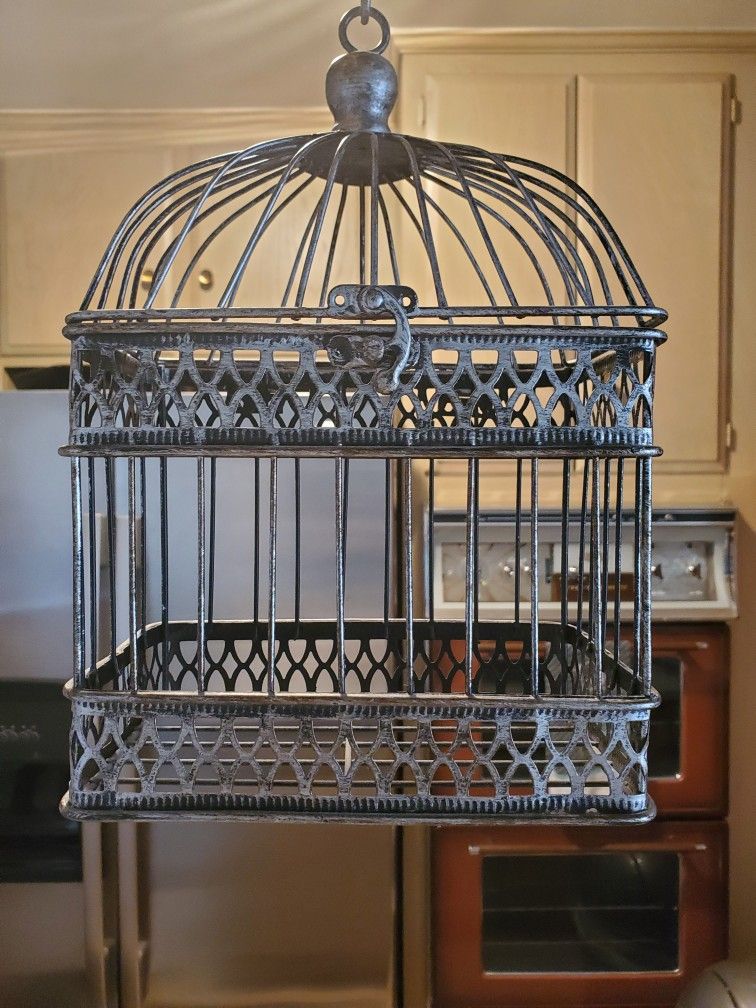 Custom Bird Feeded