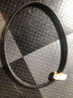 Harley Davidson rear belt
