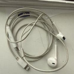 Apple Earbuds With Lightning Connector