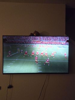 65" Vizio TV + Roku Streaming Device & Remote – $100 OBO