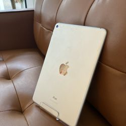 iPad Mini 5, Wi-Fi, 64Gb