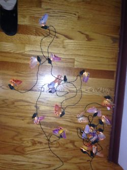 Butterfly 🦋 lights