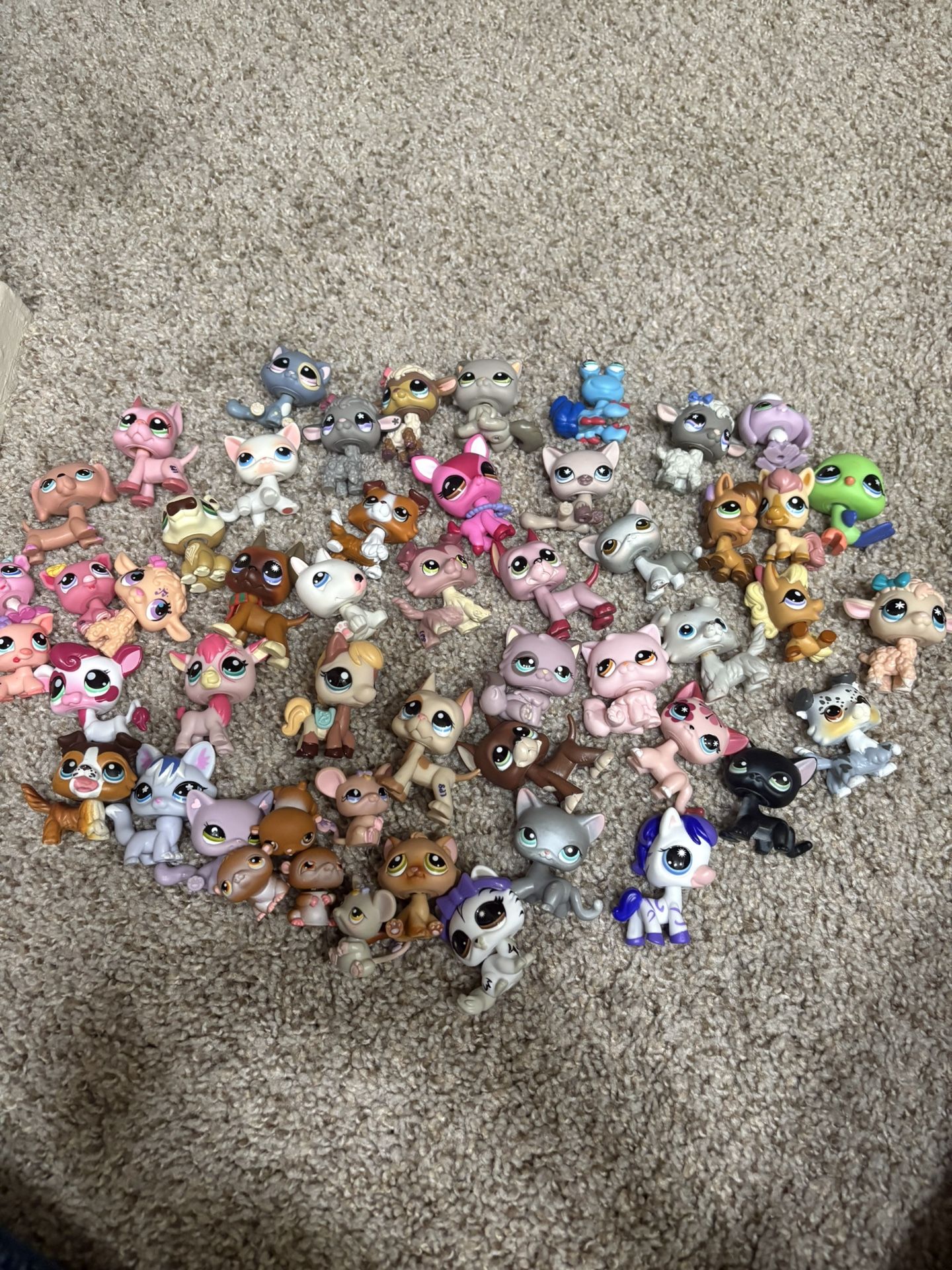 Lps Lot 