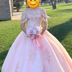 Blush Pink Quinceañera Dress (Layla K)