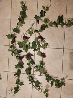 Grape wreaths
