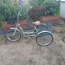 Pure DLX  Adult Trike 