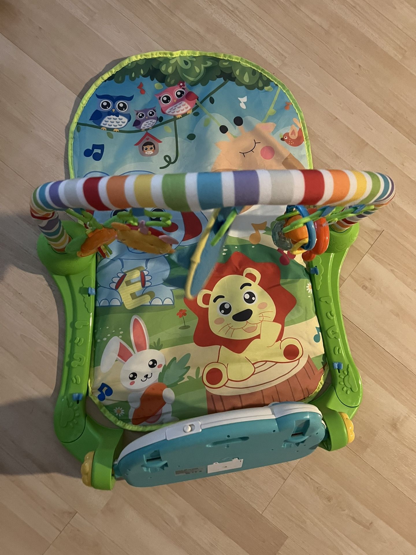 Tummy Time play Mat