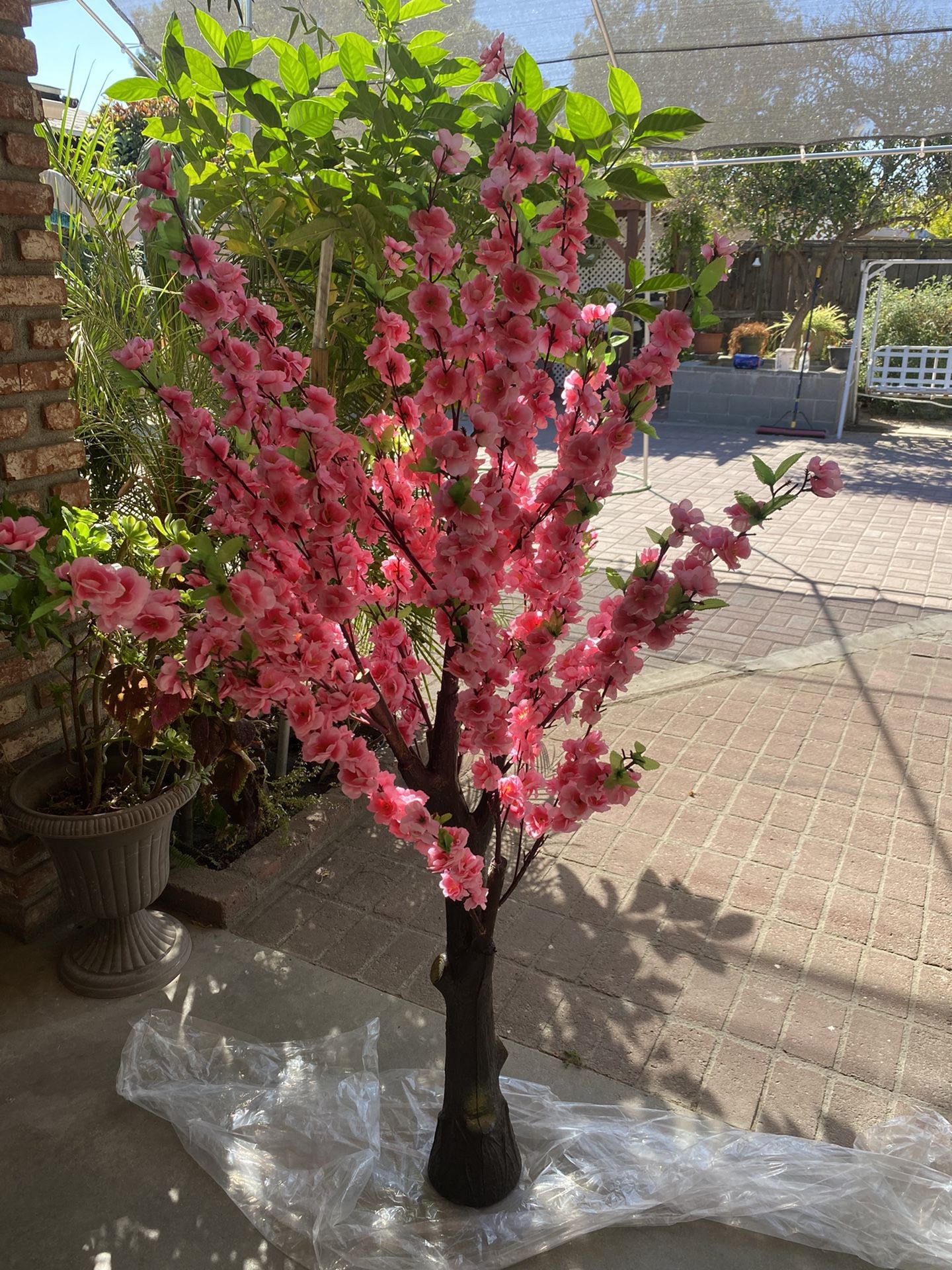 Cherry Blossom Tree