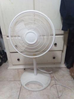 Fan