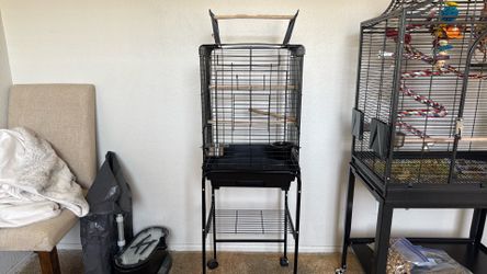 Bird Cage