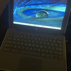 Hp Chromebook 