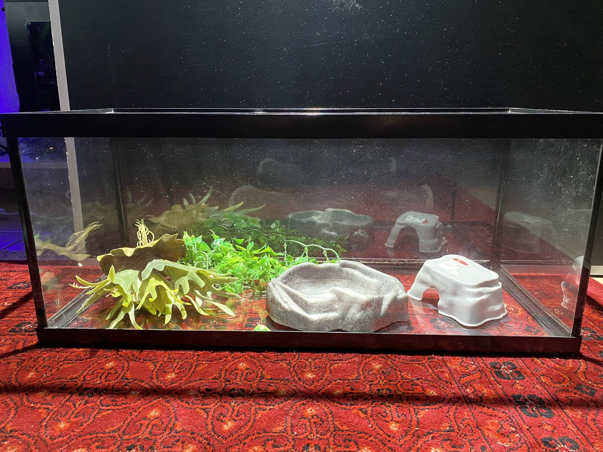 20 Gallon Long Fish Tank