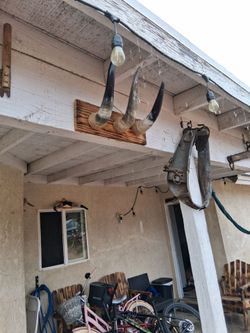Longhorn Horns Wall Mount on Wood Plaque