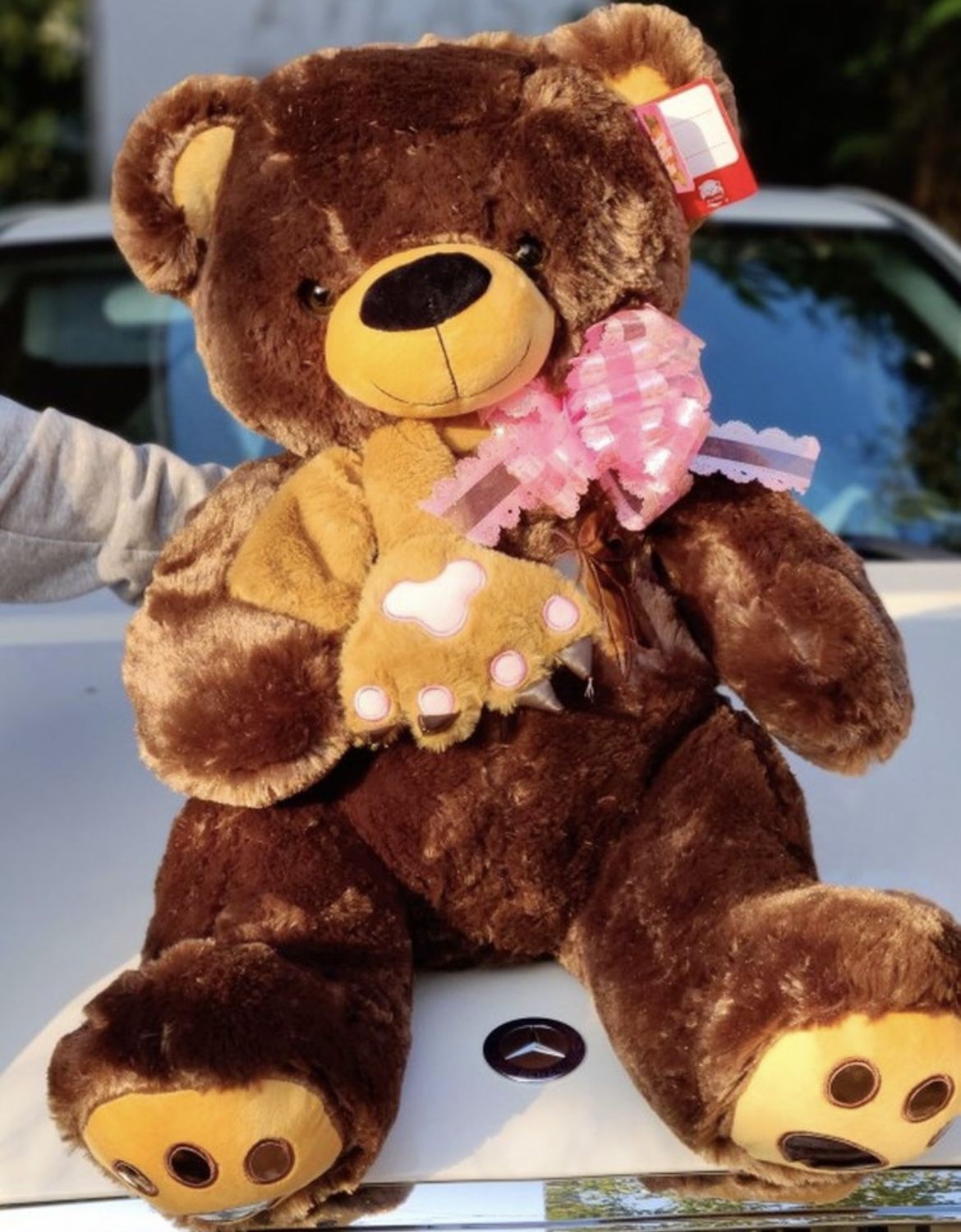 Brown Teddy Bear Valentine’s Day Gifts