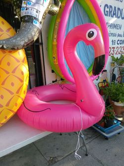 Flamingo