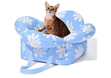 Car seat for small dogs