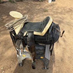 Horse Saddle