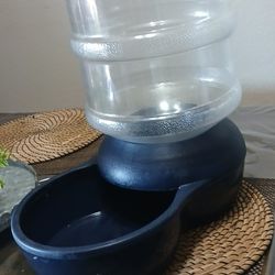 Large Dog Water Bowl 