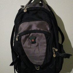 Swiss Gear Back Pack