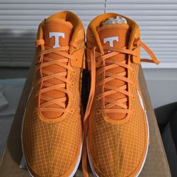 Brand New No Box Sz 16