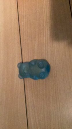 Squishy bear