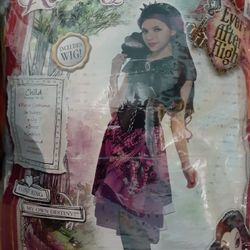 Child Size 14/16 Costume