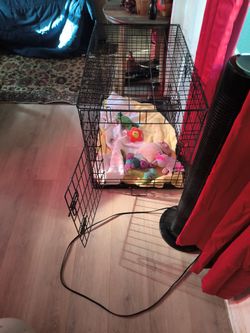 Cage