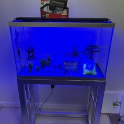 New 30Gal Tall FishTank with Stand, LED Light, & full Set-Up!