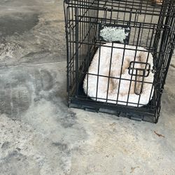 Dog Crate