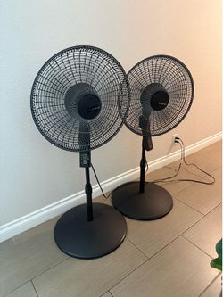 Lasko pedestal fans