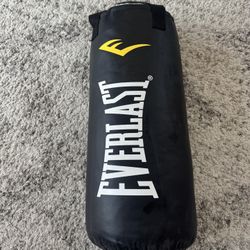 Everlast 40lb Heavy Bag