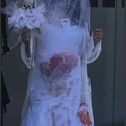 Dead Bride Dress Costume 