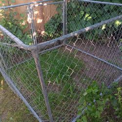 Kennel - Chain Link 6x6